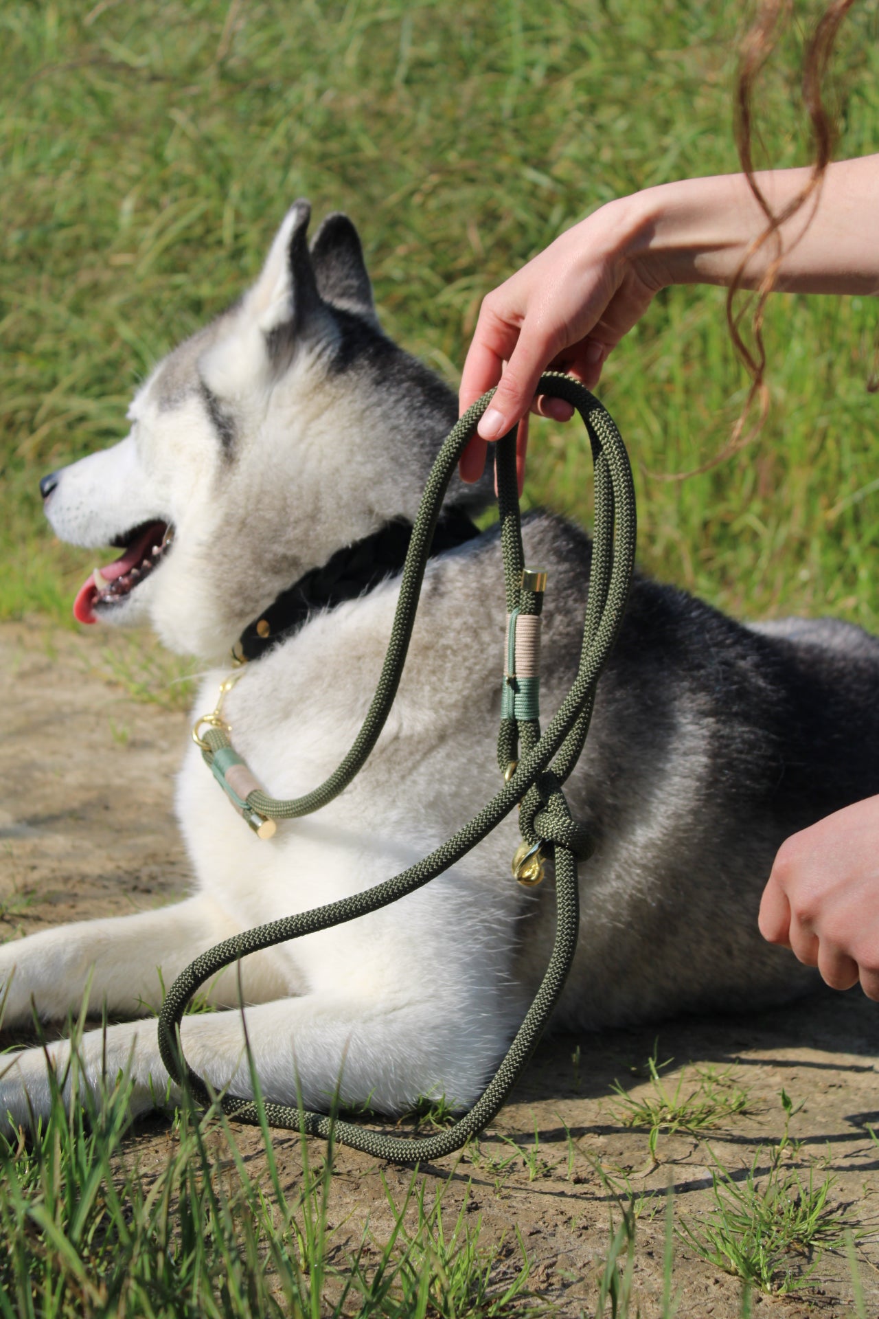 Verstelbare hondenlijn 'Army'