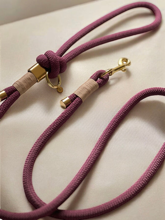 Autumn vino leash